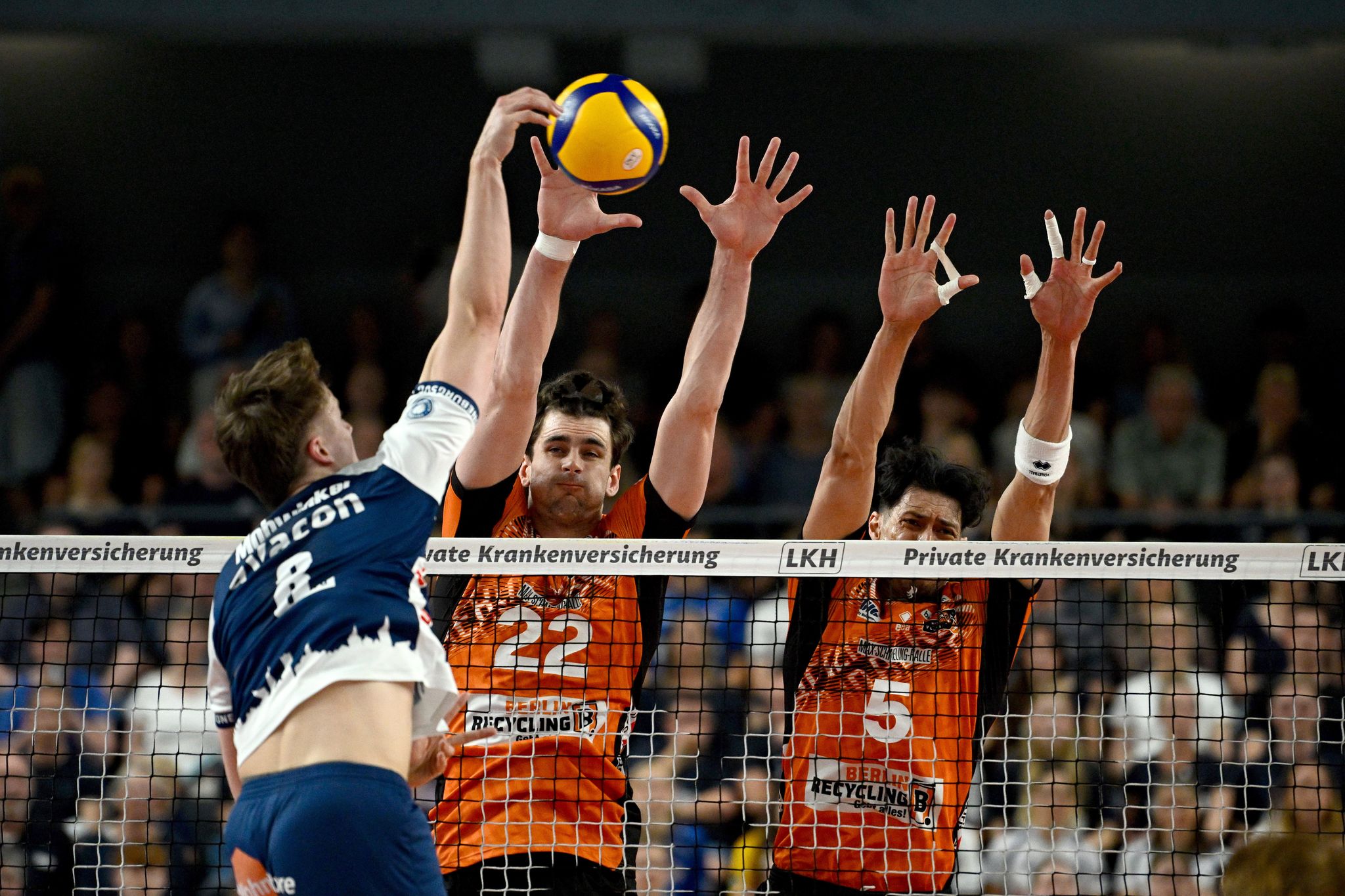 Berlins Volleyballer gewinnen zweites Finale gegen Lüneburg