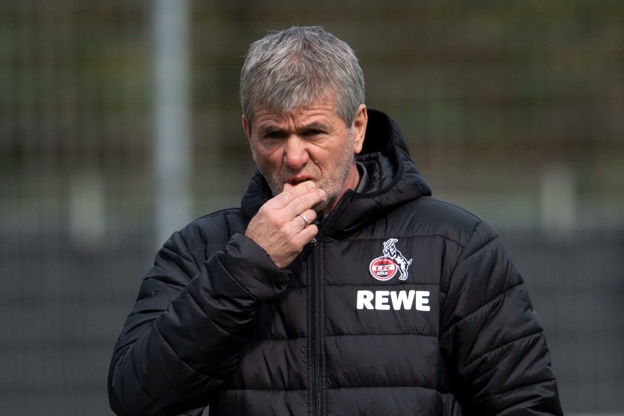 Berichte: Funkel soll Interimstrainer beim 1. FC Köln werden
