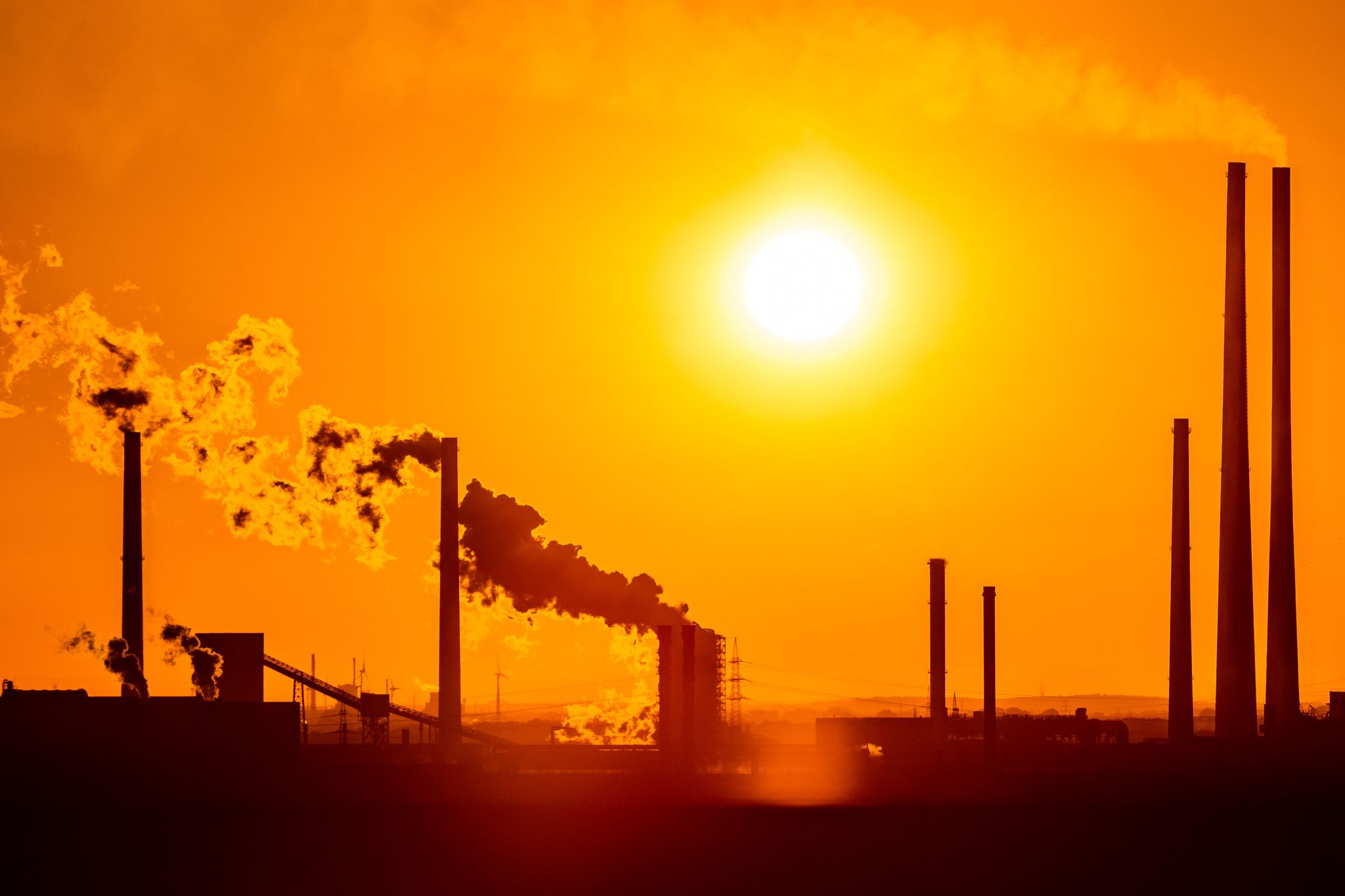 Ifo: Ende der Stagnation – Wirtschaft wächst 2026 kräftig
