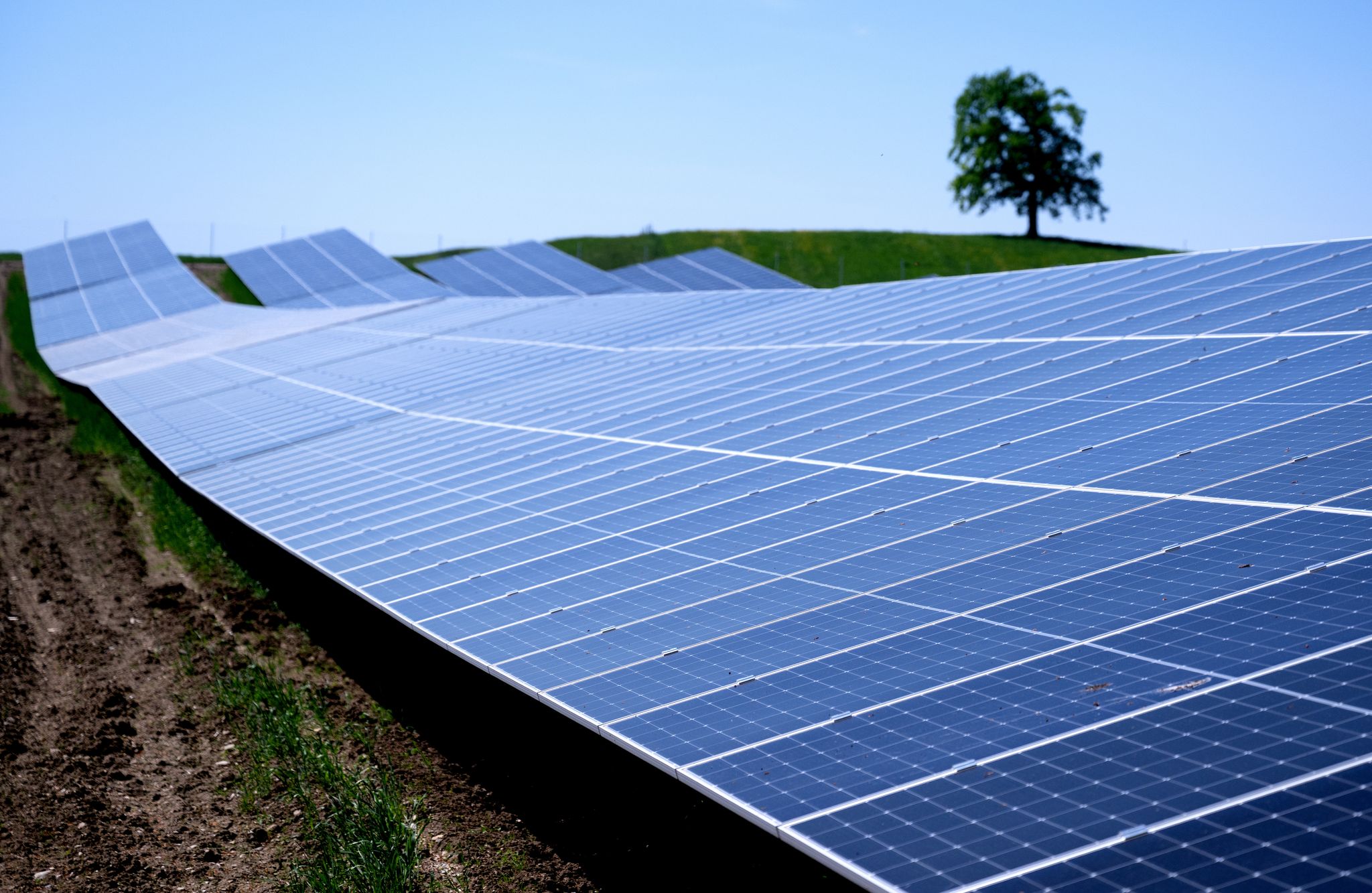 Solar-Ausbau bis 2030: Die Hälfte ist geschafft