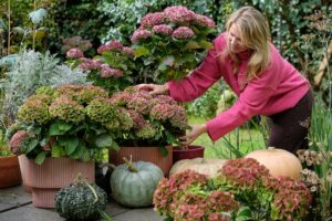 Willkommen Herbst! Jetzt den Eingangsbereich schmücken
