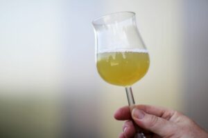 Federweißer: Warum sein Alkoholgehalt schwankt