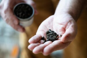 Schokoladenpfeffer gibt Dessert und Wild eine Kakaonote