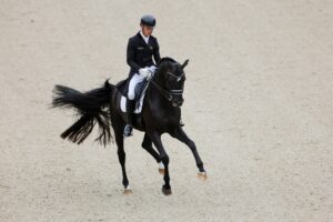 Dressurreiter Justin Verboomen weiter auf Erfolgskurs