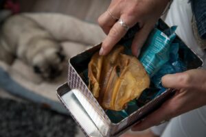 Keimgefahr: Bei Natur-Kausnacks für Hunde auf Hygiene achten
