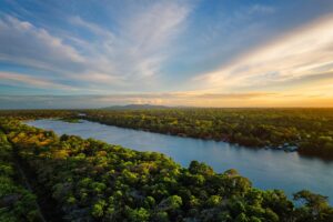 7 Tiere, die man im Dschungel Costa Ricas sieht