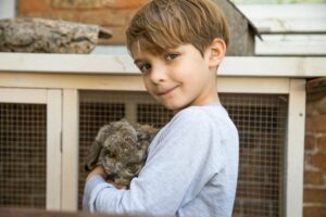 Haustierwunsch bei Kindern – worauf Familien achten sollten